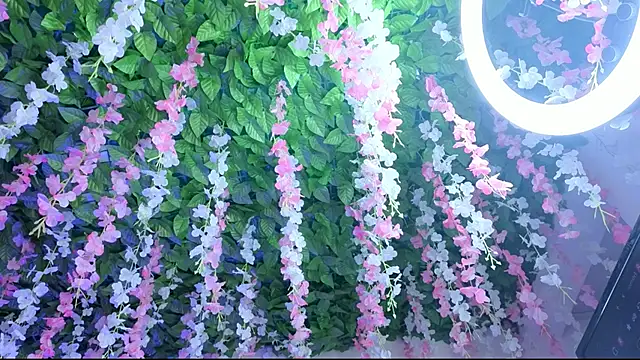 amberthangels online show from 22, 11, 2025