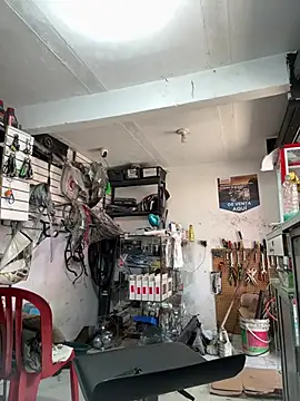 Terra-22cm online show from 18, 1, 2026