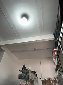 Terra-22cm online show from 1, 3, 2026