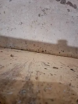 Snapshot of Negodabenga chatting on 17, 12, 2025 Negodabenga online show from 17, 12, 2025