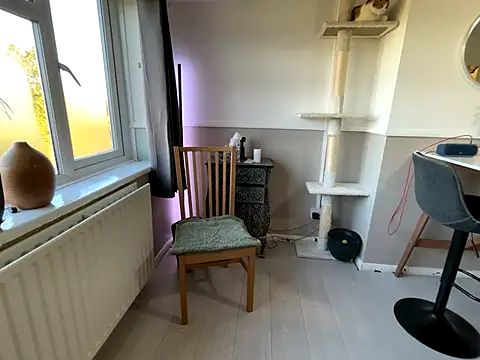 Dilfcam101 online show from 29, 9, 2025