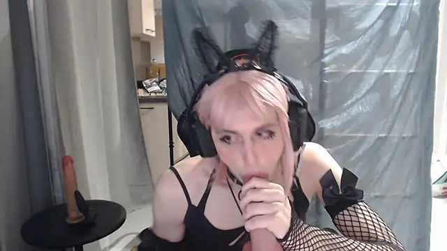 HungryCatUwU online show from 8, 10, 2025