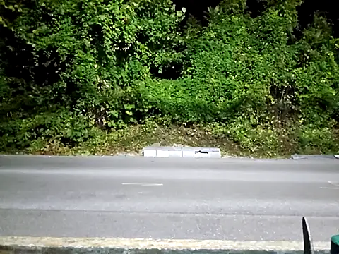 sloppytopkins online show from 15, 9, 2025