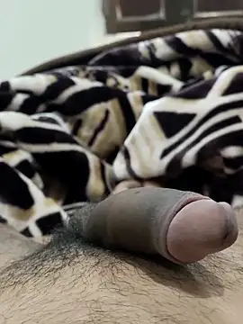 Bull54321 online show from 14, 2, 2026