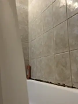 1mistaGoodWood online show from 30, 11, 2025