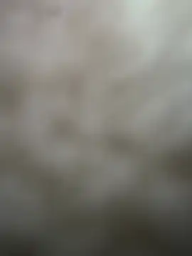  01ruhi online show from 20, 3, 2026