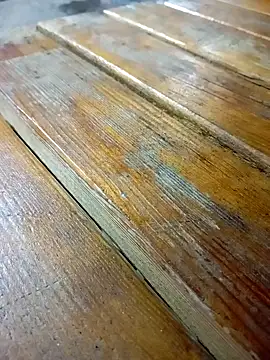 mert0359 online show from 16, 2, 2026