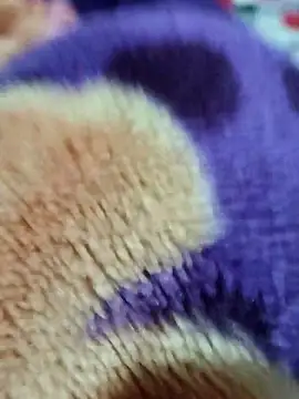 sana-5 online show from 15, 3, 2026