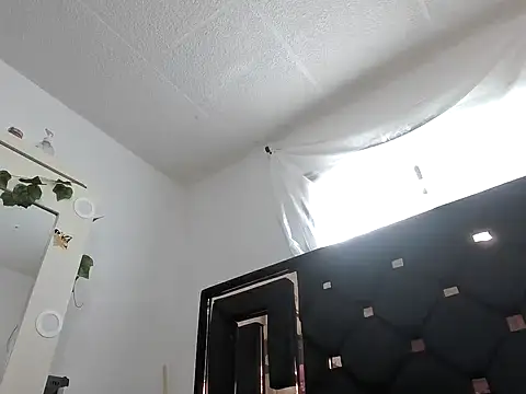 vegacristal88 online show from 14, 10, 2025