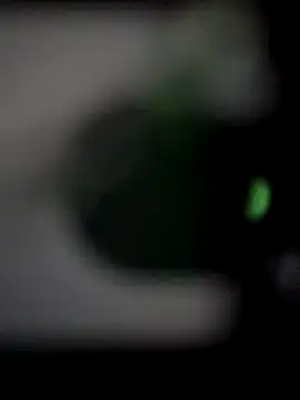 chocolate bella online show from 22, 9, 2025