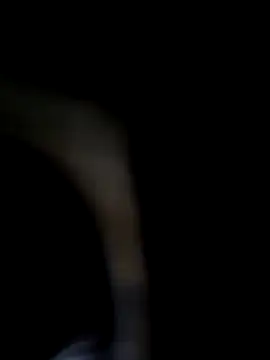 chocolate bella online show from 11, 10, 2025