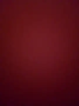 Snapshot of curvybrunnett chatting on 14, 2, 2026 curvybrunnett online show from 14, 2, 2026