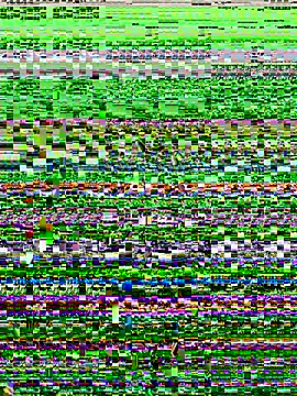 Snapshot of lynn9000 chatting on 20, 11, 2025 lynn9000 online show from 20, 11, 2025