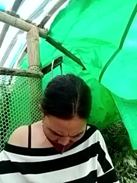 Snapshot of cicnci chatting on 12, 11, 2025 cicnci online show from 12, 11, 2025