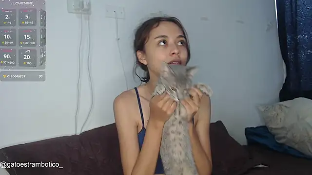 brisazanes online show from 8, 1, 2026