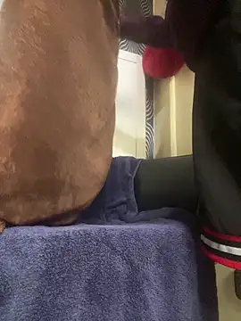 Yasar-Xxxl online show from 12, 3, 2026