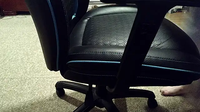 Snapshot of stgj1 chatting on 14, 2, 2026 stgj1 online show from 14, 2, 2026