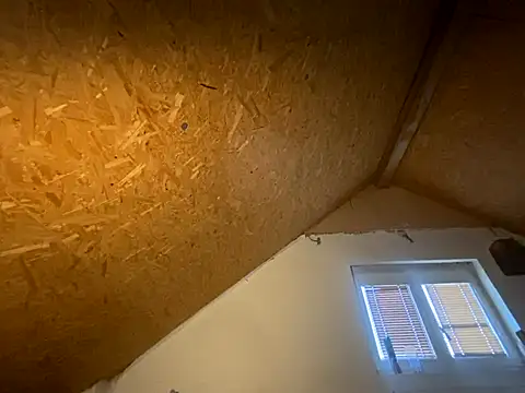 Snapshot of Salon1986 chatting on 7, 11, 2025 Salon1986 online show from 7, 11, 2025