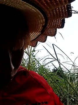 ngocngoc cute online show from 14, 1, 2026