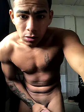 Novindot23cm online show from 16, 10, 2025