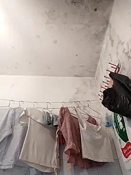 naop04 online show from 1, 11, 2025