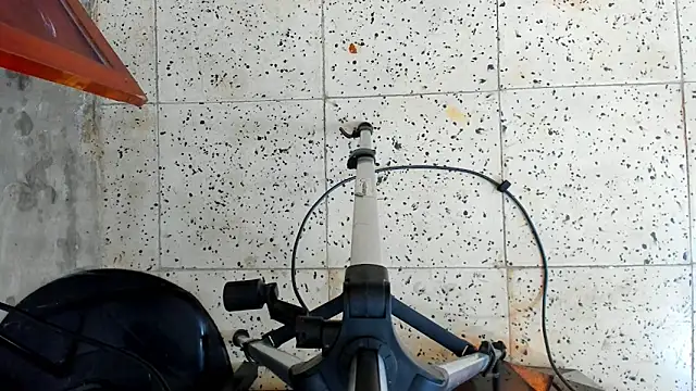 Snapshot of David_niet chatting on 16, 10, 2025 David niet online show from 16, 10, 2025