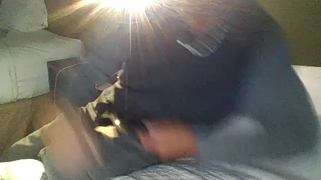 49swm4all online show from 21, 11, 2025