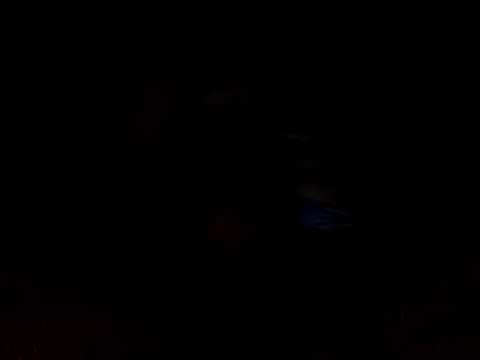 CaiBull online show from 26, 10, 2025