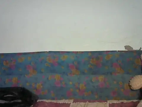 Baby doll9090 online show from 14, 1, 2026