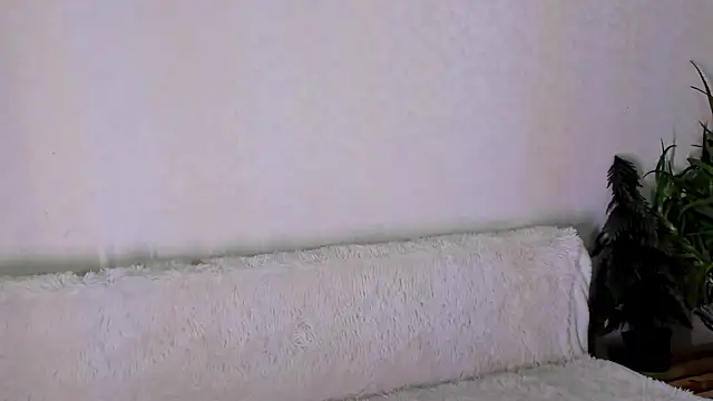 thief of hearts online show from 25, 11, 2025