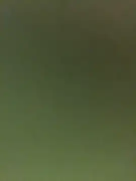 JuanitaMore01 online show from 16, 2, 2026