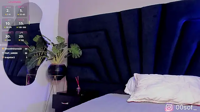 Foxy katt online show from 6, 3, 2026