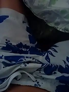 Snapshot of pajarics chatting on 13, 1, 2026 pajarics online show from 13, 1, 2026