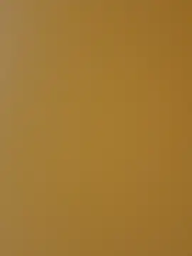 Elvee1 online show from 18, 9, 2025