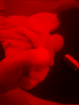 2Tight2Handle online show from 20, 10, 2025