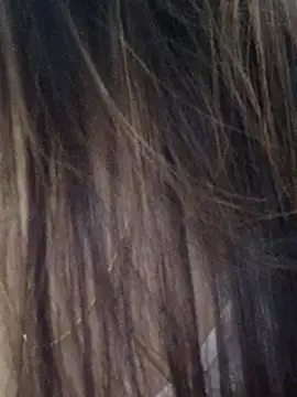 DPK25 online show from 21, 12, 2025