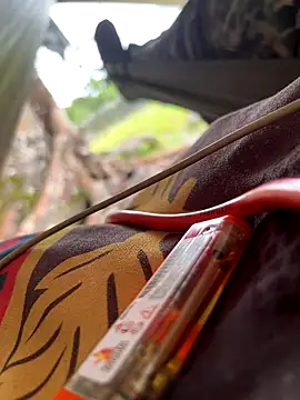 Alabestia12 online show from 10, 11, 2025