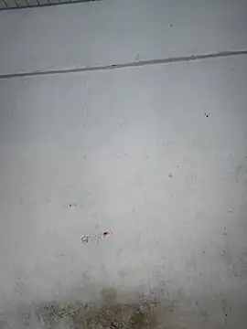 Your-Samayra online show from 16, 9, 2025