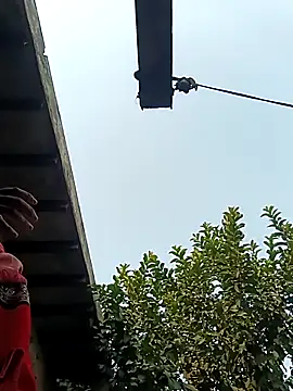 heena3355 online show from 2, 12, 2025