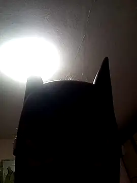 AmandaXXX98 online show from 17, 11, 2025