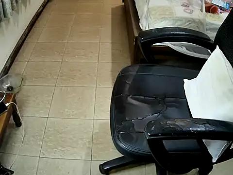 sissypamsissy online show from 8, 2, 2026