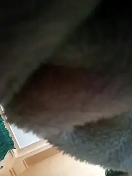 Snapshot of Hamzahk chatting on 20, 3, 2026 Hamzahk online show from 20, 3, 2026