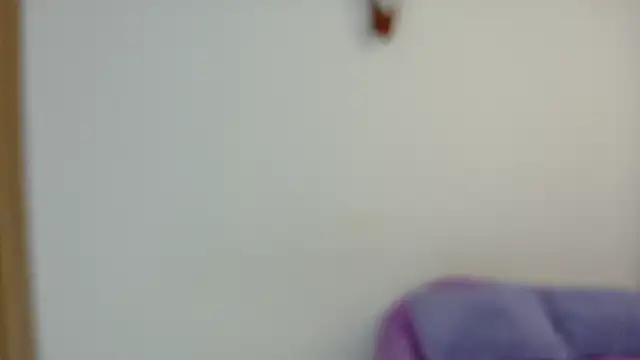 Blazing Haze online show from 2, 11, 2025