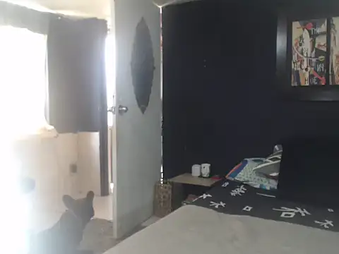 Dara-montenegro online show from 16, 10, 2025