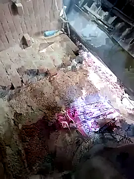 nughtytommy01 online show from 14, 12, 2025