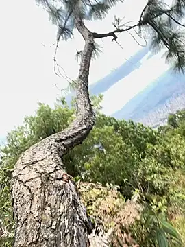 Alexis Spicter online show from 16, 9, 2025