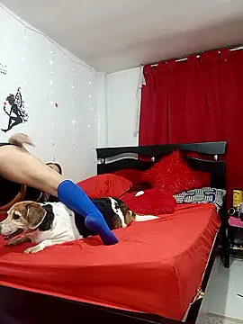 Lady 16 online show from 13, 2, 2026