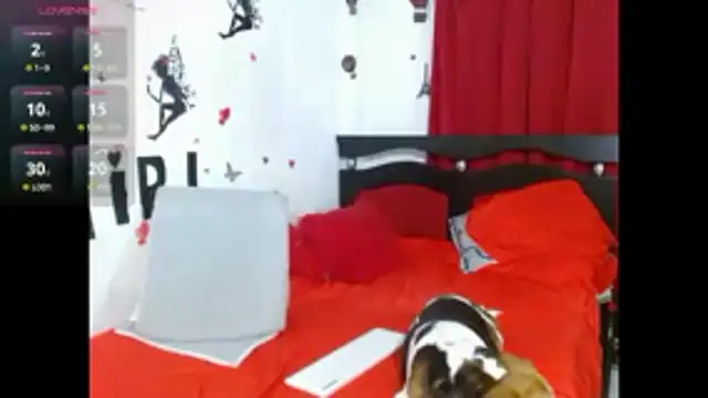 Lady 16 online show from 22, 3, 2026