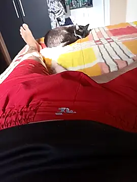 comobucetinhas online show from 14, 11, 2025