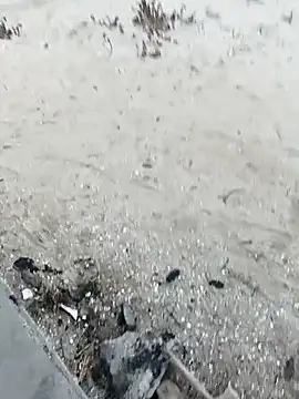 pegaso369 online show from 29, 10, 2025